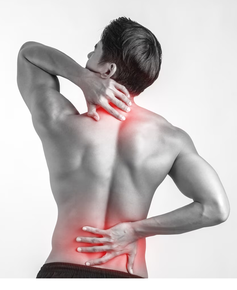 Back Pain